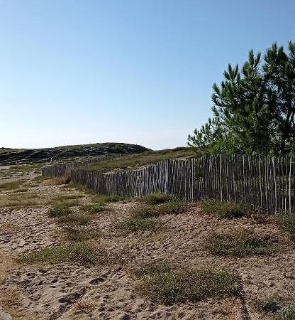 Appartement Spacieux Verdon Sur Mer Le Verdon-sur-Mer Exterior foto
